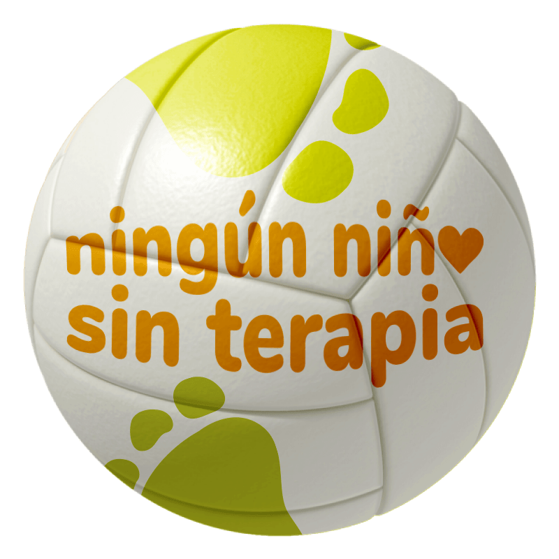 Bola voley 2