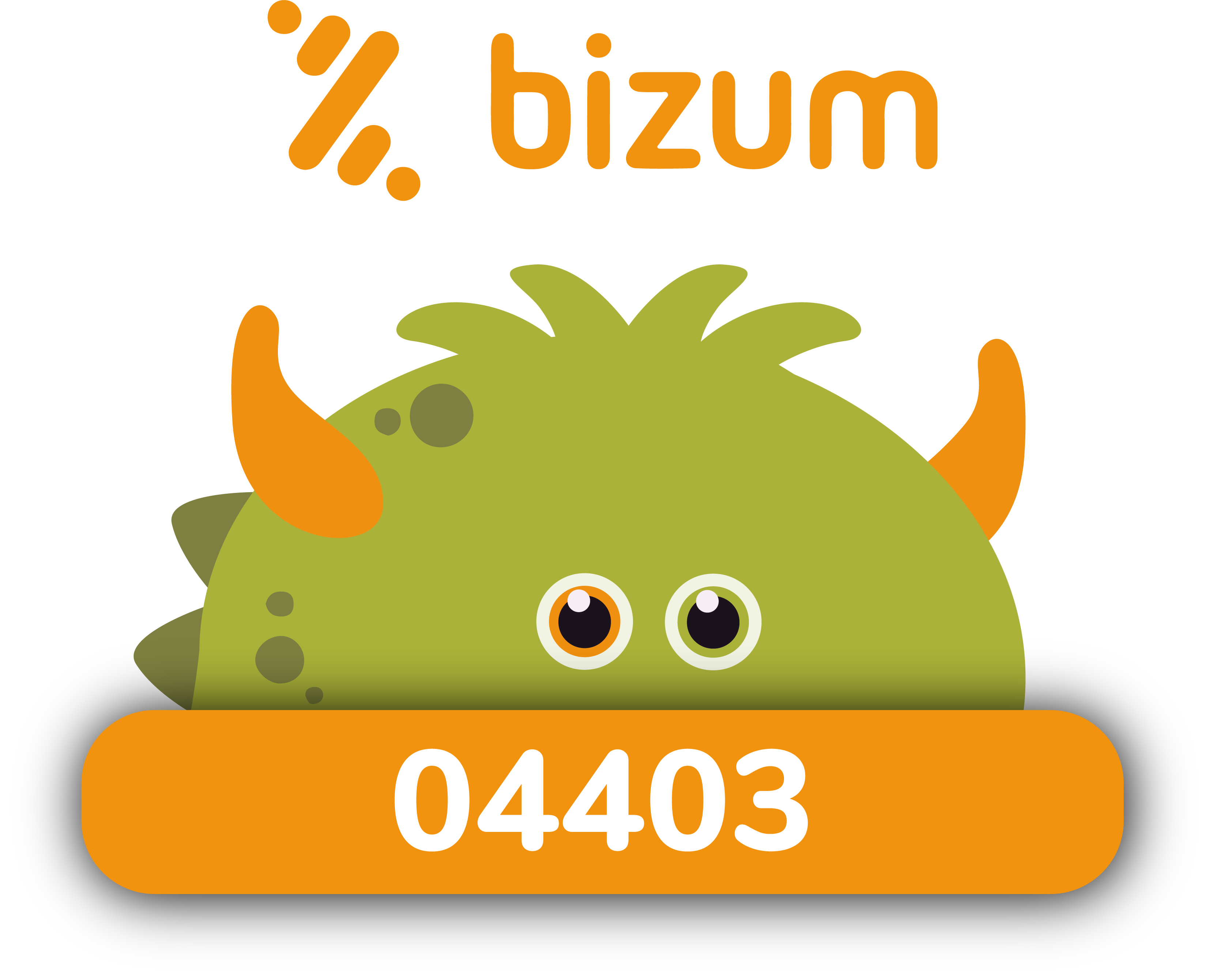 Bizum_ Fundación anda CONMiGO